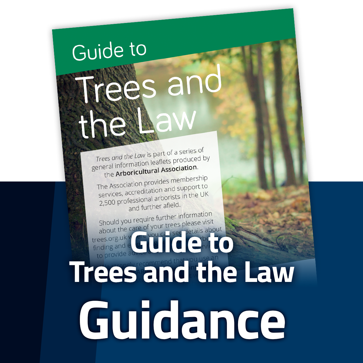 Arboricultural Association Help for Tree Owners